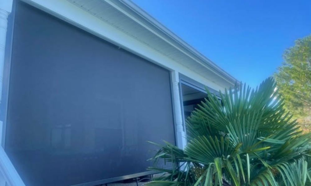 Outdoor patio with retractable screen shade and palm plant on a sunny day.